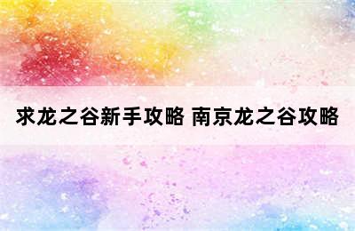 求龙之谷新手攻略 南京龙之谷攻略